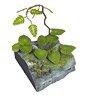 Jungle Plants C (Plastic model)