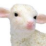 My Little Zoo Sheep Lamb (Animal Figure)