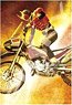 Kamen Rider Series No.300-1501 Yoshihito Sugahara Works The Top Sprint! (Jigsaw Puzzles)