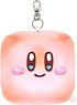 Kirby`s Dream Land Pupupu Bakery`s Bread Pass Case A Kirby (Anime Toy)