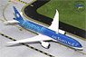 787-9 エア タヒチ ヌイ 新塗装 F-ONUI (完成品飛行機)
