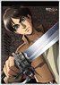 Attack on Titan 3 Eren Big Tapestry (Anime Toy)