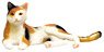 Japanese Cats Calico Cat (Snuggle Down) (Fashion Doll)