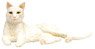Japanese Cats White Cat (Snuggle Down) (Fashion Doll)