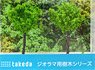 樹木 (黄緑) 8cm ワイヤー (鉄道模型)