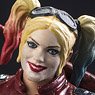 1/18 Action Figure Harley Quinn (Completed)