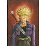 Dragon Ball Z No.300-1511 Portrait [Trunks (Youth)] (Jigsaw Puzzles)