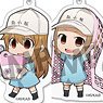 Cells at Work! Trading Acrylic Key Ring Platelet Collection (Set of 5) (Anime Toy)