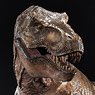 Prime Collectable Figure/ Jurassic Park: Tyrannosaurus Rex 1/38 PVC Statue PCFJP-01 (Completed)