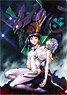 [Neon Genesis Evangelion] TV Ver. Clear File/Test Type-01 & Shinji & Rei (Yoshiyuki Sadamoto) (Anime Toy)