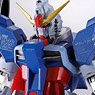 Metal Robot Spirits < Side MS > Destiny Gundam (Completed)