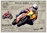 Ducati TT2 `81 Rider: Tony Rutter (Model Car)