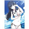 The Irregular at Magic High School The Movie: The Girl Who Calls the Stars Clear File A (Anime Toy)