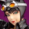 DC Comics Bishoujo Catwoman Returns (Completed)