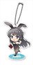 Rascal Does Not Dream of Bunny Girl Senpai Nendoroid Plus Acrylic Stand Mai Sakurajima 2 (Anime Toy)