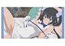 Is It Wrong to Try to Pick Up Girls in a Dungeon?: Arrow of the Orion Hestia 120cm Big Towel (Anime Toy)