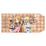 Sword Art Online Alicization Full Color Book Jacket Asuna & Alice Valentine Ver. (Anime Toy)