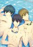 Free! -Dive to the Future- Clear File A (Anime Toy)
