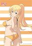 Kono Subarashii Sekai ni Shukufuku o! [Especially Illustrated] Darkness B2 Tapestry (Anime Toy)