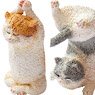 ANIMAL LIFE Baby Yoga Cat (6個セット) (キャラクターグッズ)