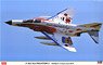 F-4EJ Kai Super Phantom `302SQ F-4 Final Year 2019` (Plastic model)