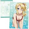 Rascal Does Not Dream of Bunny Girl Senpai Clear File E (Anime Toy)