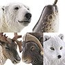 miniQ Wild Rush - True World Animal Journal III - Polar Region, Arctic Circle (Set of 8) (Shokugan)