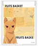 Fruits Basket Mirror Kyo Soma (Anime Toy)