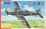 Arado Ar 96B `Captured and Post War` (Plastic model)