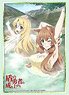 Bushiroad Sleeve Collection HG Vol.2024 The Rising of the Shield Hero [Raphtalia & Filo] (Card Sleeve)