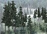 TR1581 Conifer Pine Trees 4-6`` (Model Train)