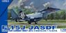 F-15J JASDF Eagle Air Combat Meet 2013 (Plastic model)
