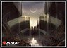 Magic The Gathering Players Card Sleeve [Shards of Alara] (Swamp) (MTGS-089) (Card Sleeve)