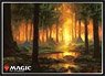 Magic The Gathering Players Card Sleeve [Theros] (Forest) (MTGS-095) (Card Sleeve)