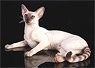 Siamese Cat Sitting Sideways A (Fashion Doll)