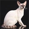 Siamese Cat Egypt Sitting A (Fashion Doll)