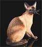 Siamese Cat Egypt Sitting B (Fashion Doll)