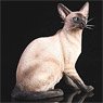 Siamese Cat Egypt Sitting C (Fashion Doll)