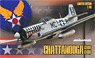 Chattanooga Choo Choo P-51D-5 Limited Edition (Plastic model)