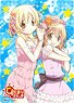 Chara Sleeve Collection Deluxe [Hidamari Sketch] Part.1 (No.DX027) (Card Sleeve)