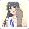 Rascal Does Not Dream of Bunny Girl Senpai Stone Coaster 06 (Anime Toy)