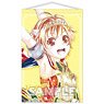 Bang Dream! Girls Band Party! Ani-Art B2 Tapestry Vol.2 Hagumi Kitazawa (Hello, Happy World!) (Anime Toy)