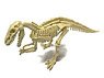 Excavate Dinosaur Fossil Deinonychus (Plastic model)