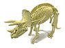 Excavate Dinosaur Fossil Triceratops (Plastic model)