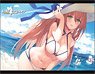 Girls` Frontline B2 Tapestry 11 Springfield (Anime Toy)