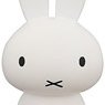 UDF No.510 [Dick Bruna] Series 3 Water Play Miffy (Completed)
