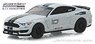 2016 Ford Mustang Shelby GT350 - Ford Performance Racing School GT350Track Attack #10 - Avalanche Grey (Diecast Car)