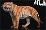 Bengal Tiger 2.0 A (Fashion Doll)