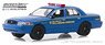 2006 Ford Crown Victoria New York City Taxi and Limousine Commission (Diecast Car)
