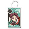 Demon Slayer: Kimetsu no Yaiba Acrylic Pass Case 01 Tanjiro Kamado (Anime Toy)